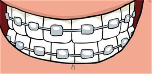 http://www.chicagonutritionsolutions.com/d/file/news/a5i3buoom4z2.jpg