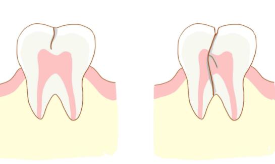 http://www.chicagonutritionsolutions.com/d/file/news/drmc15vkerdm.jpg