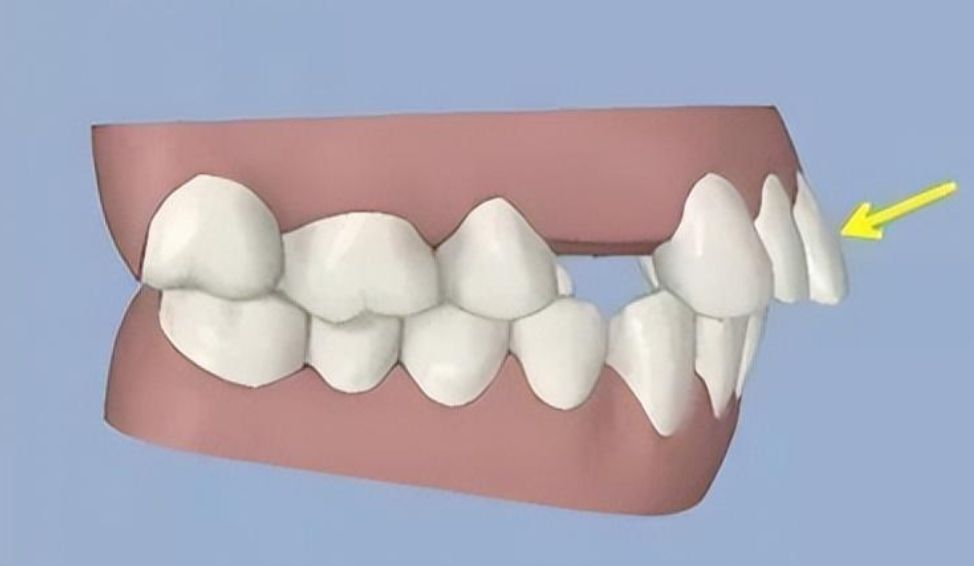 http://www.chicagonutritionsolutions.com/d/file/price/0808nrawwiww.jpg