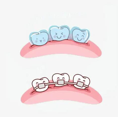 http://www.chicagonutritionsolutions.com/d/file/price/11V9A3CPC7.jpg
