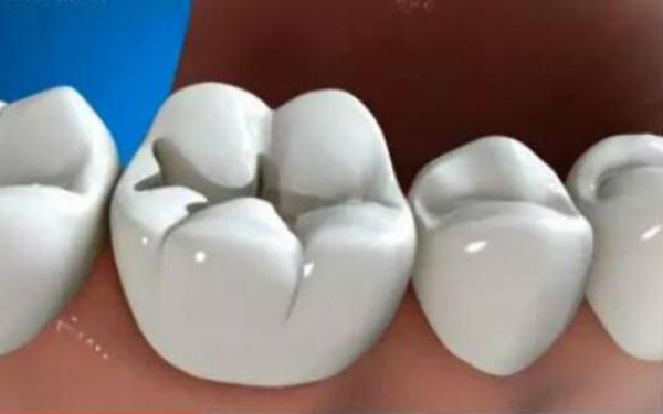 http://www.chicagonutritionsolutions.com/d/file/price/1500518318.jpg