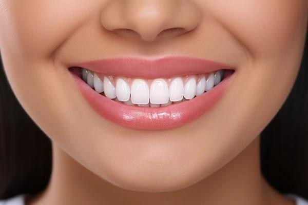 http://www.chicagonutritionsolutions.com/d/file/price/151t5crwiwxk.jpg