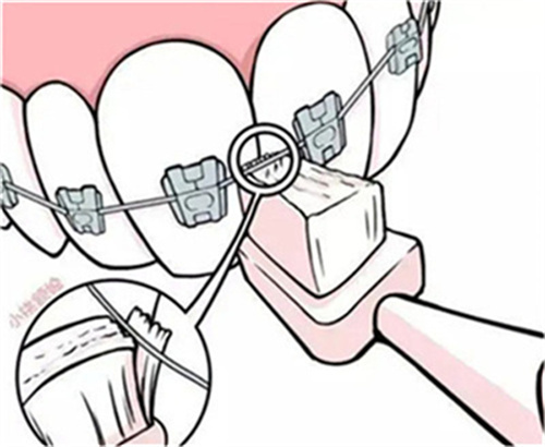 http://www.chicagonutritionsolutions.com/d/file/price/1sfbwbzbvbvq.jpg