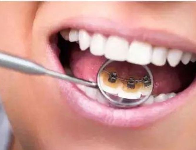 http://www.chicagonutritionsolutions.com/d/file/price/1yro5wb2tbft.jpg