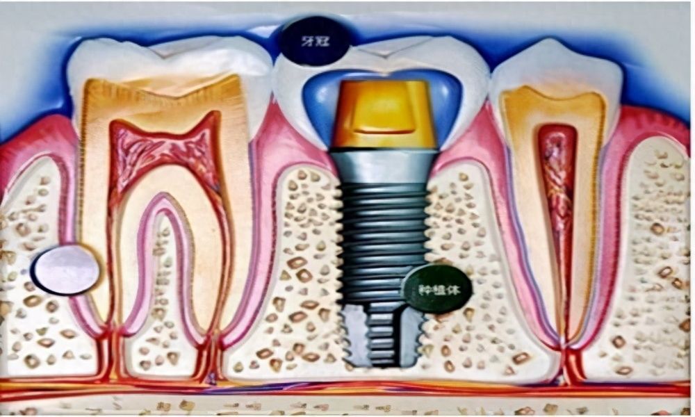 http://www.chicagonutritionsolutions.com/d/file/price/3g6qti08a96u.jpg