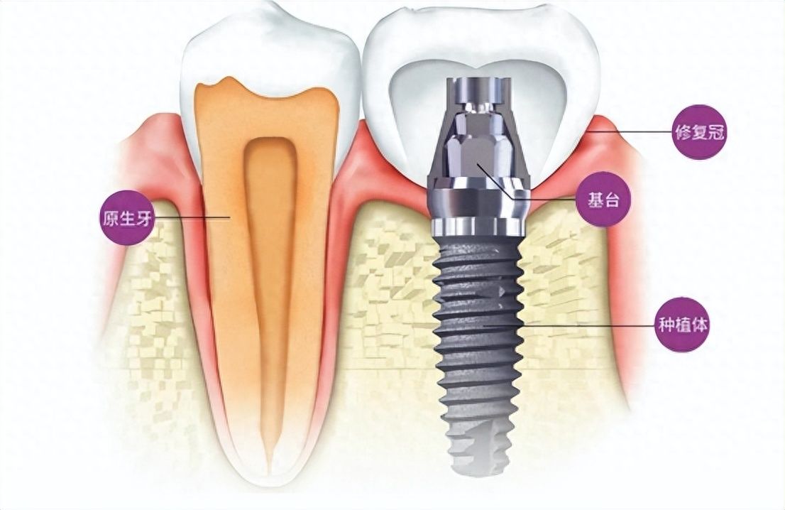 http://www.chicagonutritionsolutions.com/d/file/price/4i3ik4pxae4w.jpg