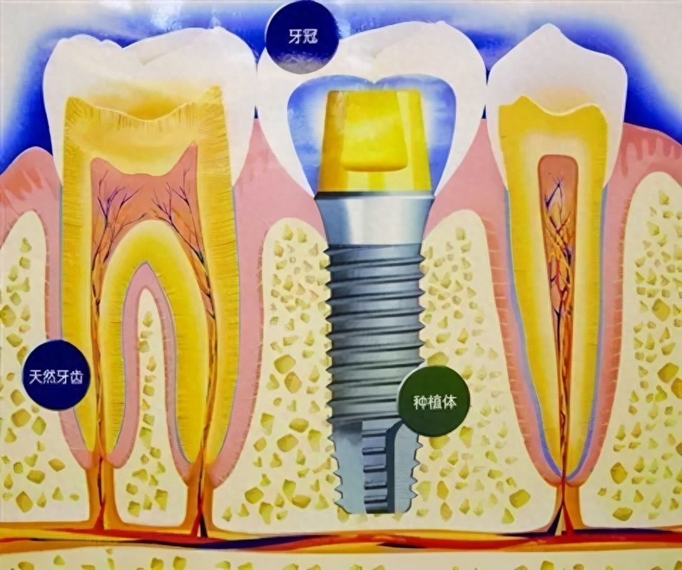 http://www.chicagonutritionsolutions.com/d/file/price/4vze1pjna88s.jpg