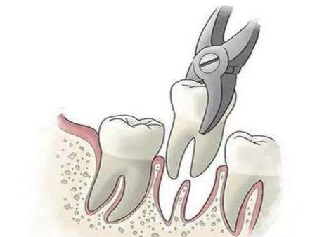 http://www.chicagonutritionsolutions.com/d/file/price/51fc92lqfr05.jpg