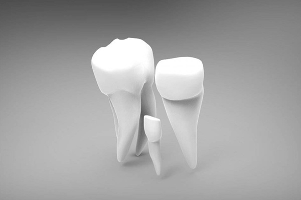 http://www.chicagonutritionsolutions.com/d/file/price/5r9y8f12e6fc.jpg