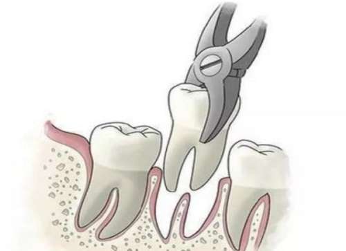 http://www.chicagonutritionsolutions.com/d/file/price/5zi62pwsddsa.jpg