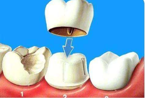 http://www.chicagonutritionsolutions.com/d/file/price/87cfiqtaavyp.jpg