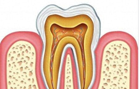 http://www.chicagonutritionsolutions.com/d/file/price/8cpt5gv3xtne.jpg
