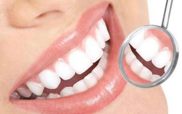 http://www.chicagonutritionsolutions.com/d/file/price/I9XP2182DN.jpg