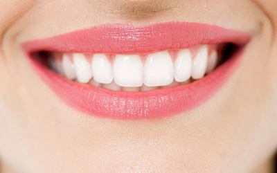 http://www.chicagonutritionsolutions.com/d/file/price/ICXD8YCI68.jpg