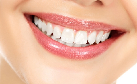 http://www.chicagonutritionsolutions.com/d/file/price/L1JOA3WYY6.jpg