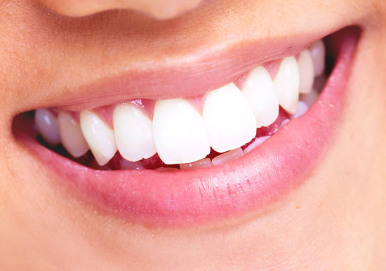 http://www.chicagonutritionsolutions.com/d/file/price/VNHMGP3PKB.jpg