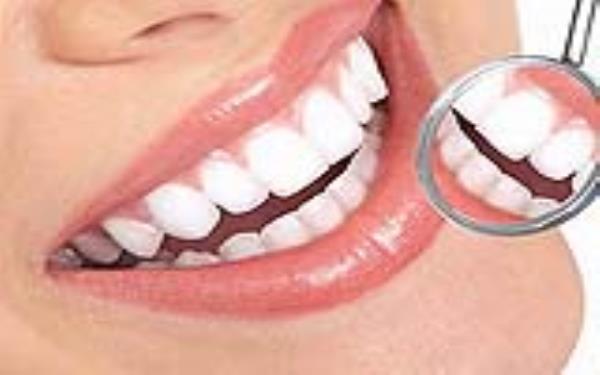 http://www.chicagonutritionsolutions.com/d/file/price/WT29NRK8QM.jpg