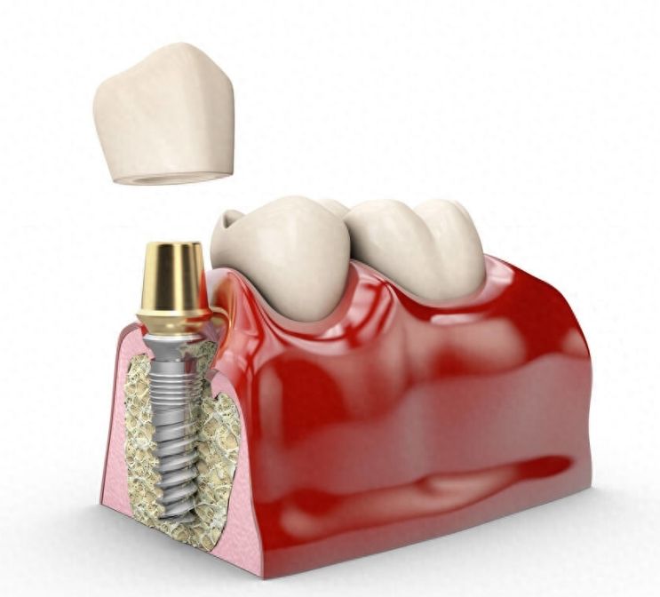 http://www.chicagonutritionsolutions.com/d/file/price/c3cbyhh4lf5h.jpg