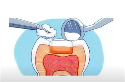 http://www.chicagonutritionsolutions.com/d/file/price/dajxs3hn655x.jpg