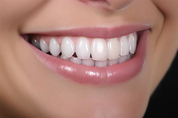 http://www.chicagonutritionsolutions.com/d/file/price/dyav8zl1oqb4.jpg