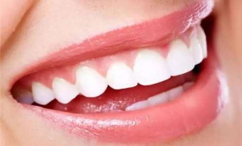 http://www.chicagonutritionsolutions.com/d/file/price/ecep3gsl8xmv.jpg