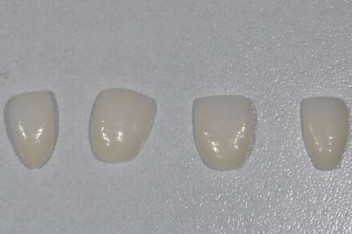 http://www.chicagonutritionsolutions.com/d/file/price/g51dqe2hbb.jpg
