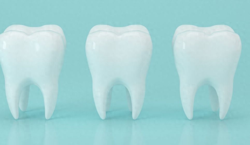 http://www.chicagonutritionsolutions.com/d/file/price/gqmz7uli4z34.jpg
