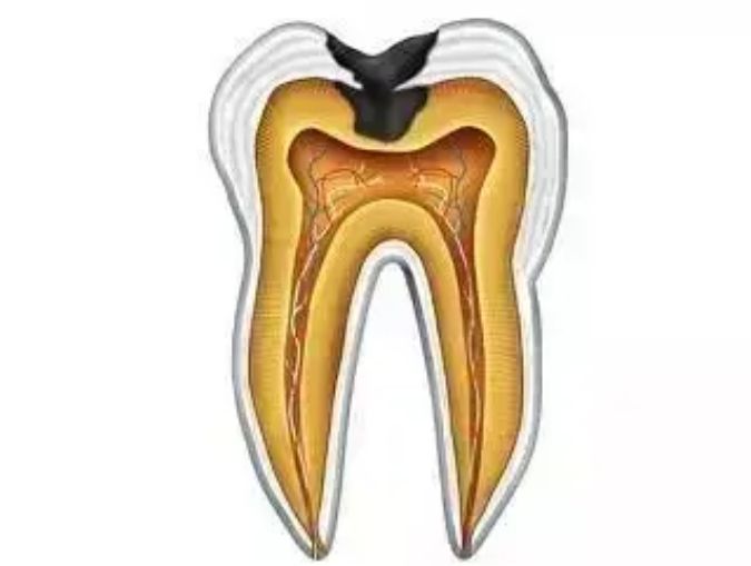http://www.chicagonutritionsolutions.com/d/file/price/hhoaxu924xht.jpg