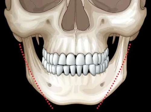 http://www.chicagonutritionsolutions.com/d/file/price/k08joq7wdo.jpg