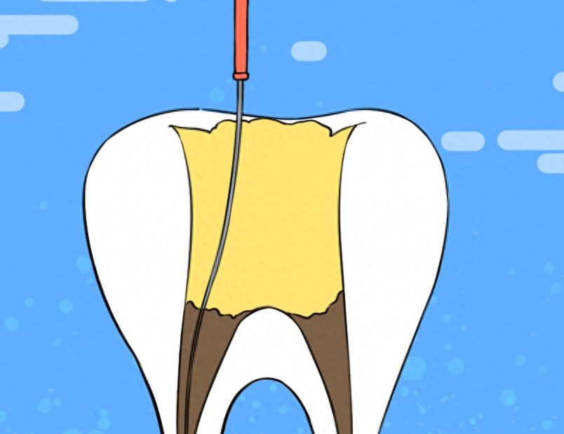 http://www.chicagonutritionsolutions.com/d/file/price/l1gn638jpnyr.jpg