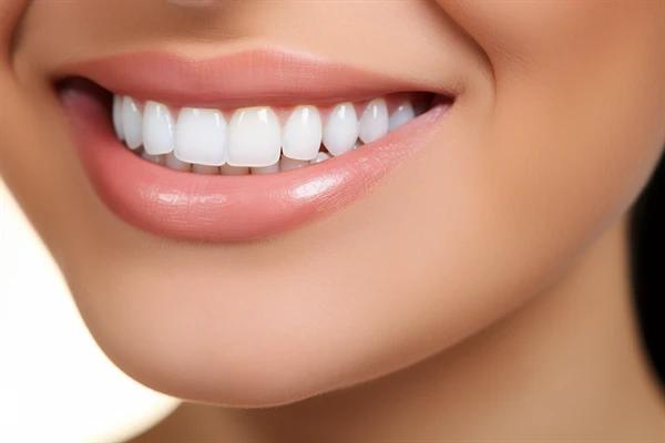 http://www.chicagonutritionsolutions.com/d/file/price/p3uojn3dc7l0.jpg