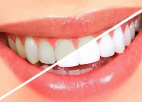 http://www.chicagonutritionsolutions.com/d/file/price/popwa5girm2v.jpg