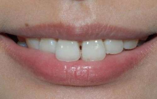 http://www.chicagonutritionsolutions.com/d/file/price/q27f0ipl739c.jpg