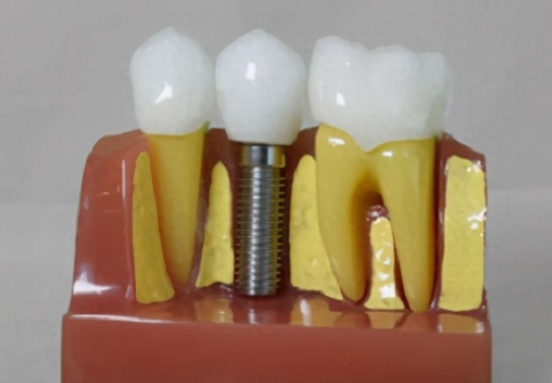 http://www.chicagonutritionsolutions.com/d/file/price/scgjmh8p0igp.jpg