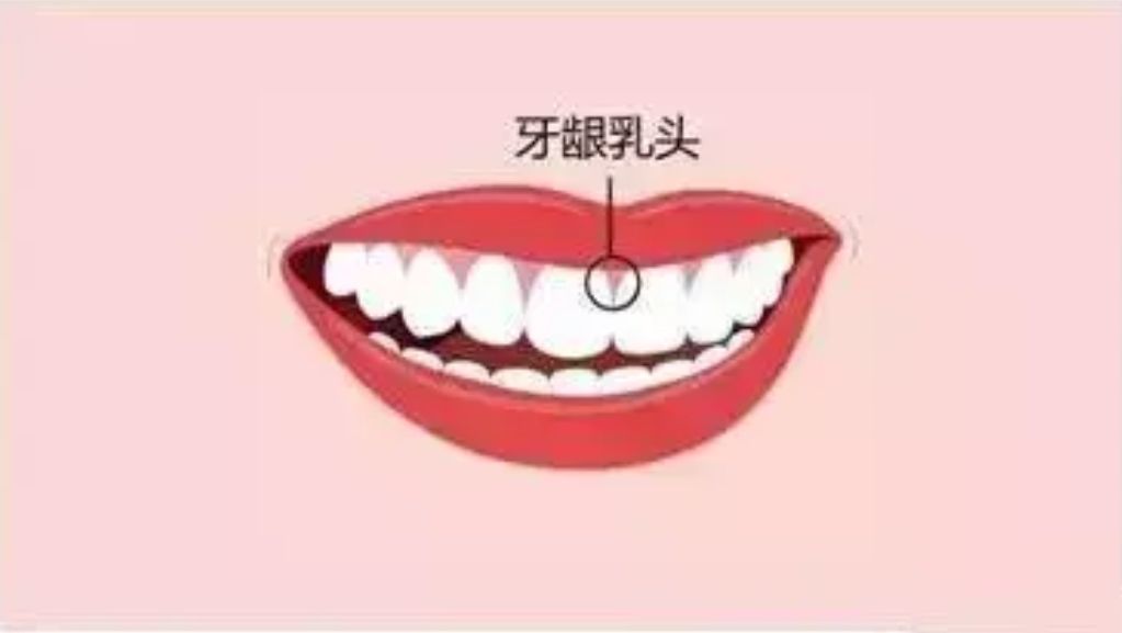 http://www.chicagonutritionsolutions.com/d/file/price/t3lh59siej7s.jpg
