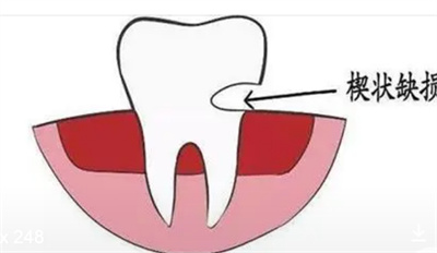 http://www.chicagonutritionsolutions.com/d/file/price/t3n18m50mljm.jpg