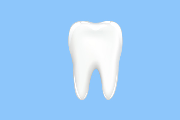 http://www.chicagonutritionsolutions.com/d/file/price/tmdkpdo8xh2y.jpg
