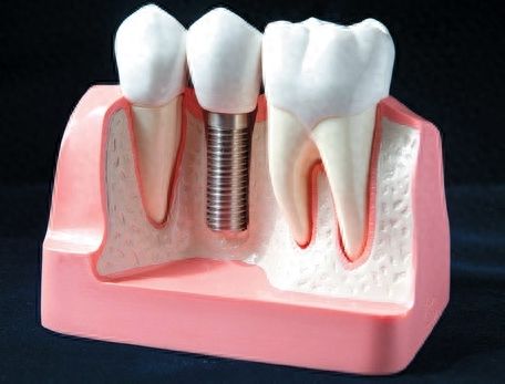 http://www.chicagonutritionsolutions.com/d/file/price/u3yvvv0v63p8.jpg