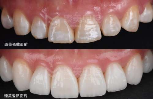 http://www.chicagonutritionsolutions.com/d/file/price/xokfs8ni1ojh.jpg