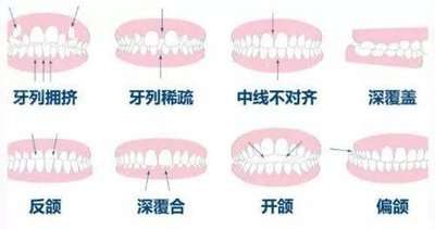 http://www.chicagonutritionsolutions.com/d/file/rank/gtkuohofh2wy.jpg