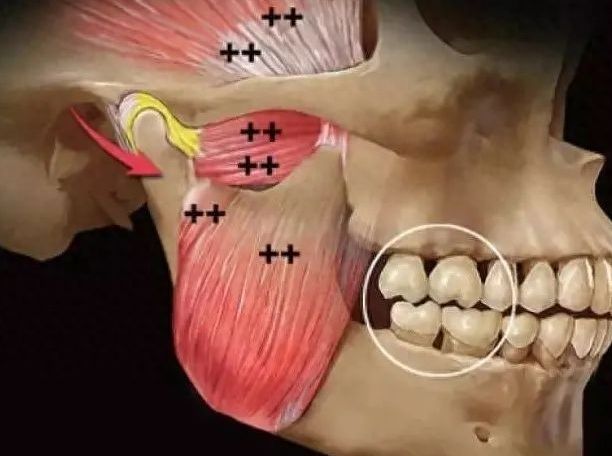 http://www.chicagonutritionsolutions.com/d/file/rank/iied4c3sn9ny.jpg