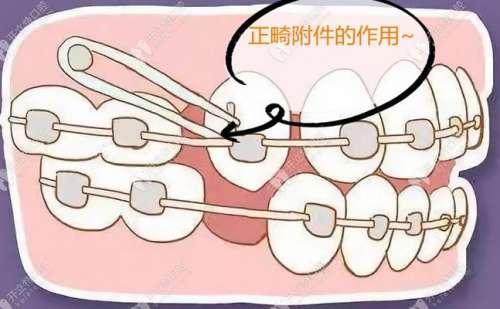 利辛縣人民醫(yī)院口腔科專家醫(yī)生出診時(shí)間及就診指南