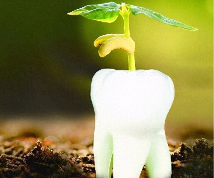 安陵口腔種植牙收費一覽及醫(yī)生團隊介紹