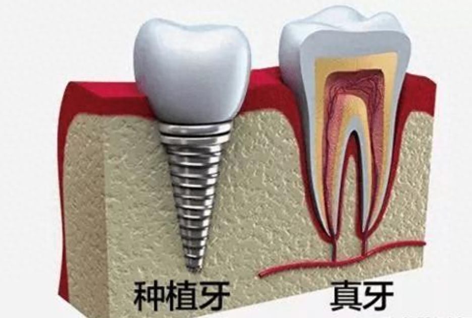 南京青苗口腔，實力口碑，專家團隊介紹