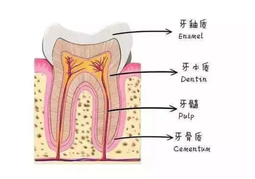 上饒維樂陽光口腔醫(yī)院收費標準：項目價格及專家一覽